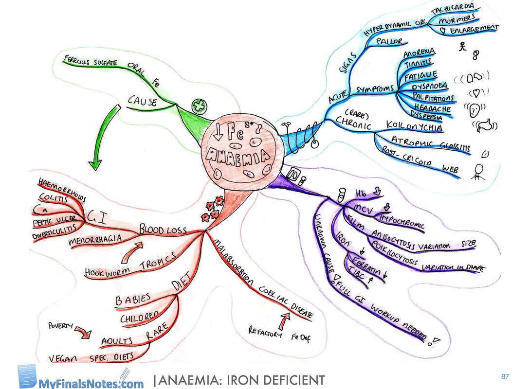iron deficient anemia mind map