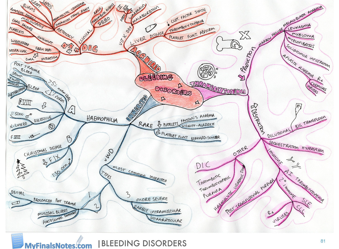 bleeding disorders revision mind map