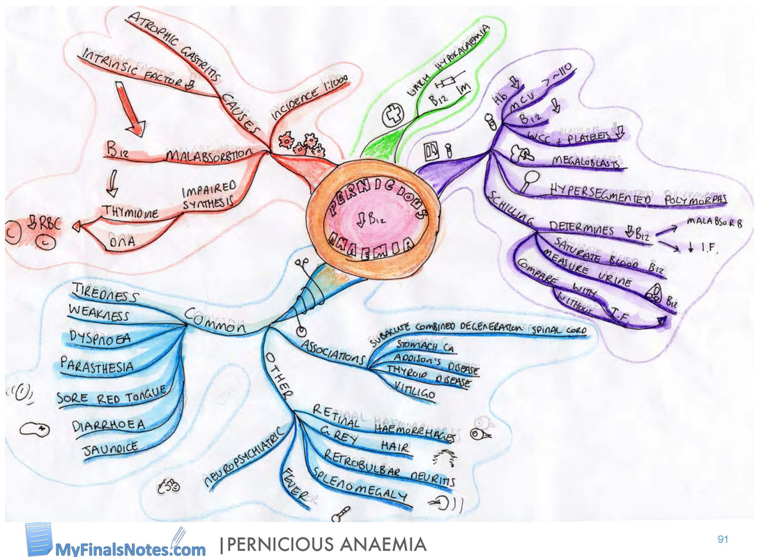 pernicious anaemia mind map, medical student revision notes