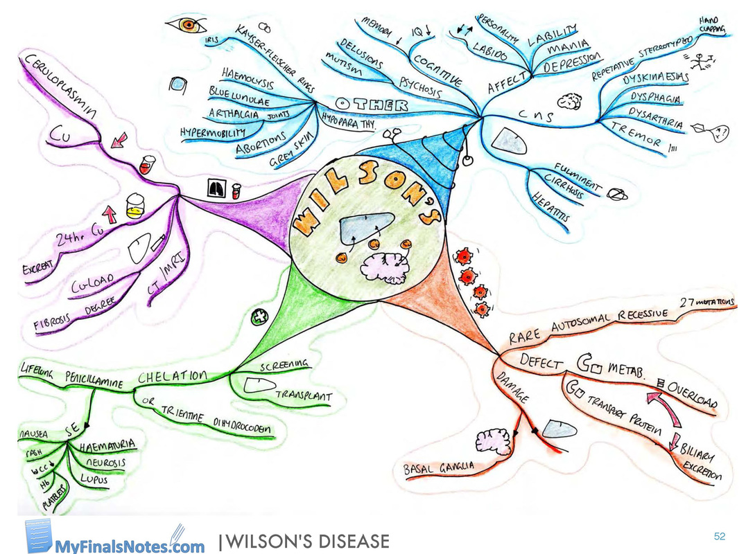 wilson's disease mind map, wilson's disease revision notes, wilson's disease pathophysiology, wilson's disease clinical features, wilson's disease investigations, wilson's disease management