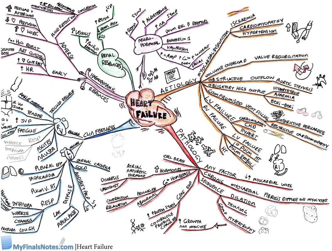 heart failure mind map, aetiology, pathology, clinical features