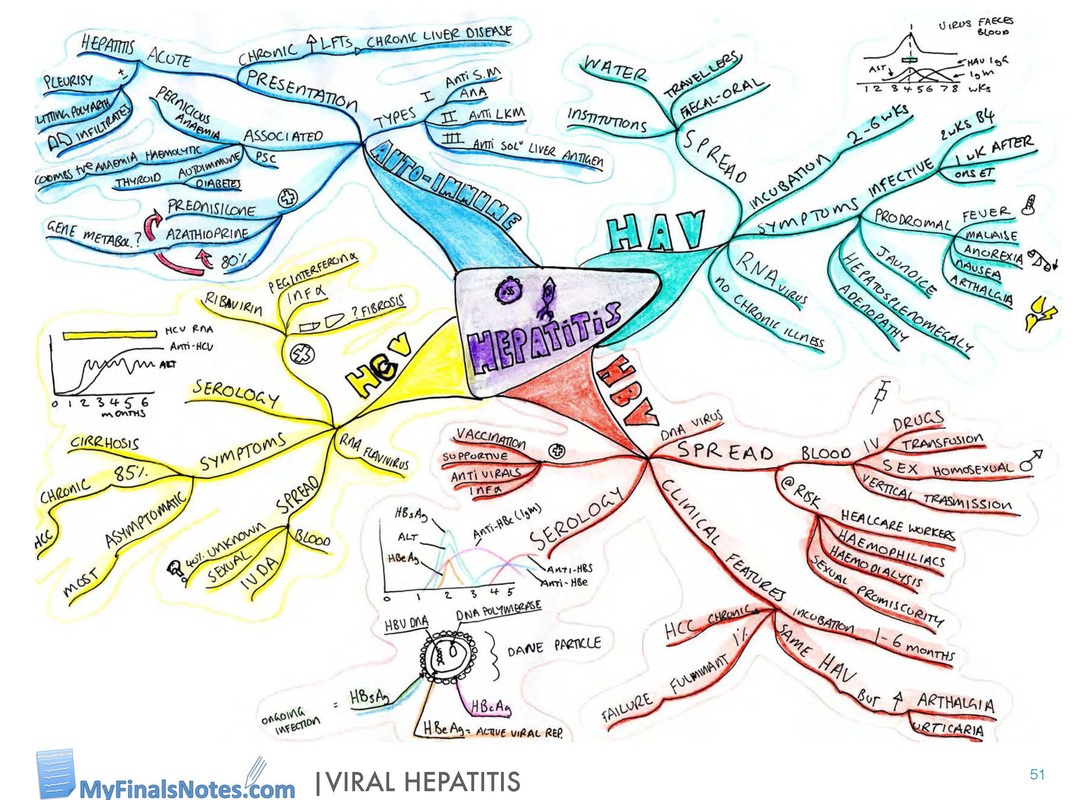 viral hepatitis mind map, viral hepatitis revision notes