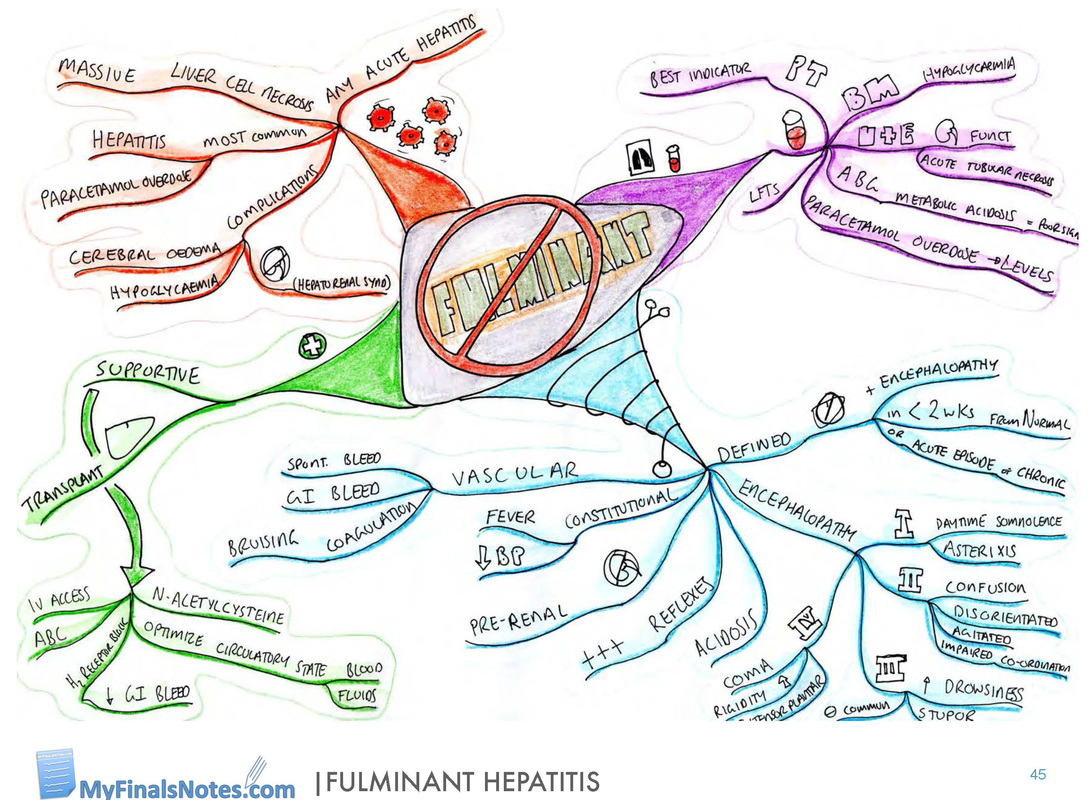 fulminent hepatitis mind map and revision notes